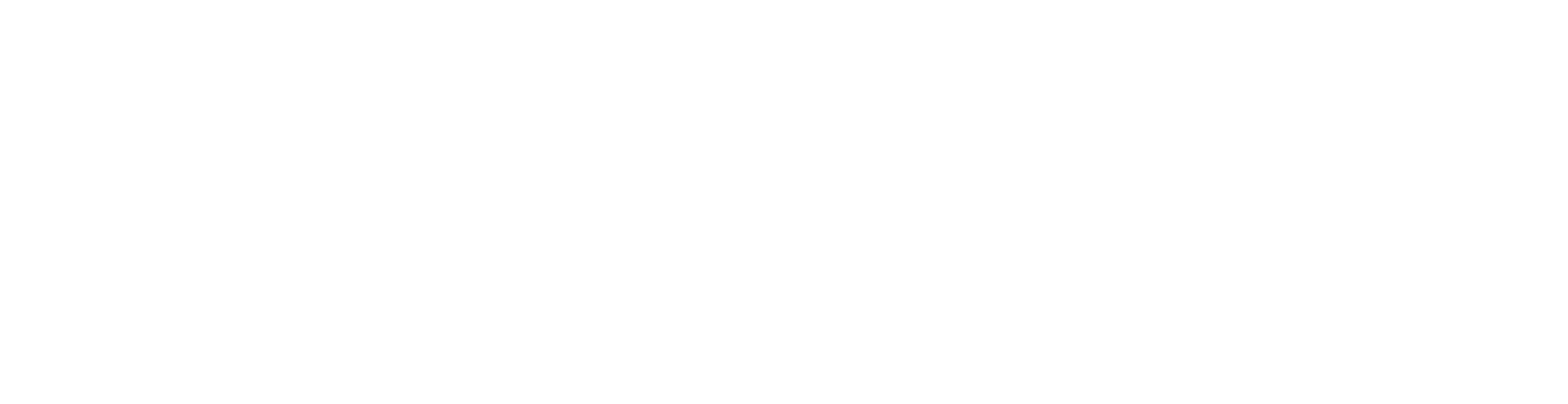 logo_cwt_white